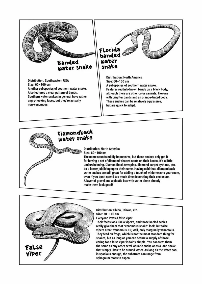 Himitsu no Reptiles Chapter 129 page 12