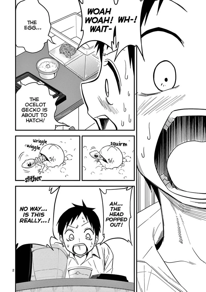 Himitsu no Reptiles Chapter 13 page 2