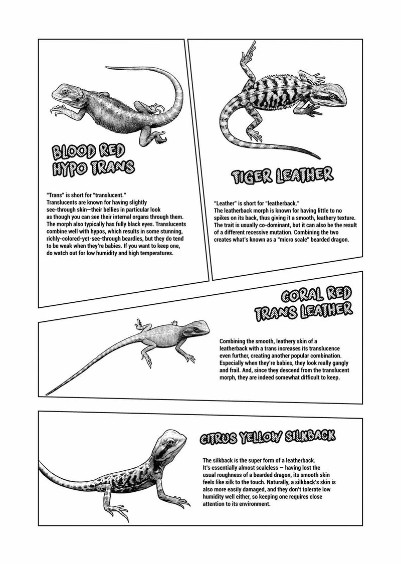 Himitsu no Reptiles Chapter 131 page 16