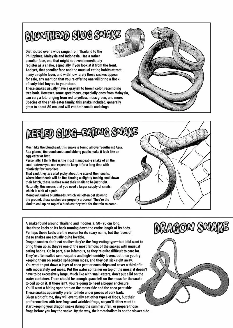 Himitsu no Reptiles Chapter 133 page 10