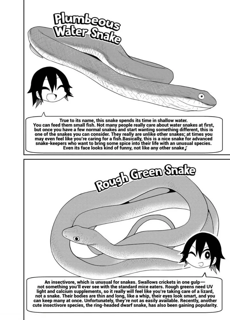 Himitsu no Reptiles Chapter 23 page 18