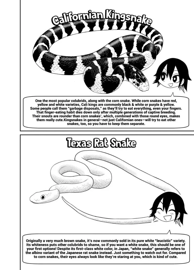 Himitsu no Reptiles Chapter 23 page 14