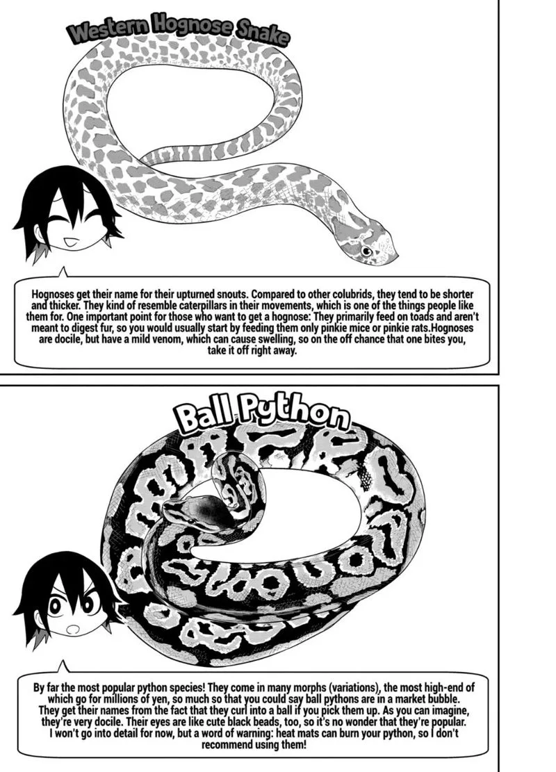 Himitsu no Reptiles Chapter 23 page 15