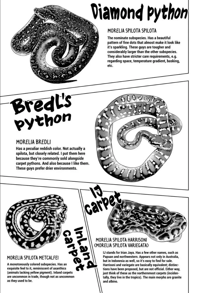 Himitsu no Reptiles Chapter 55 page 7