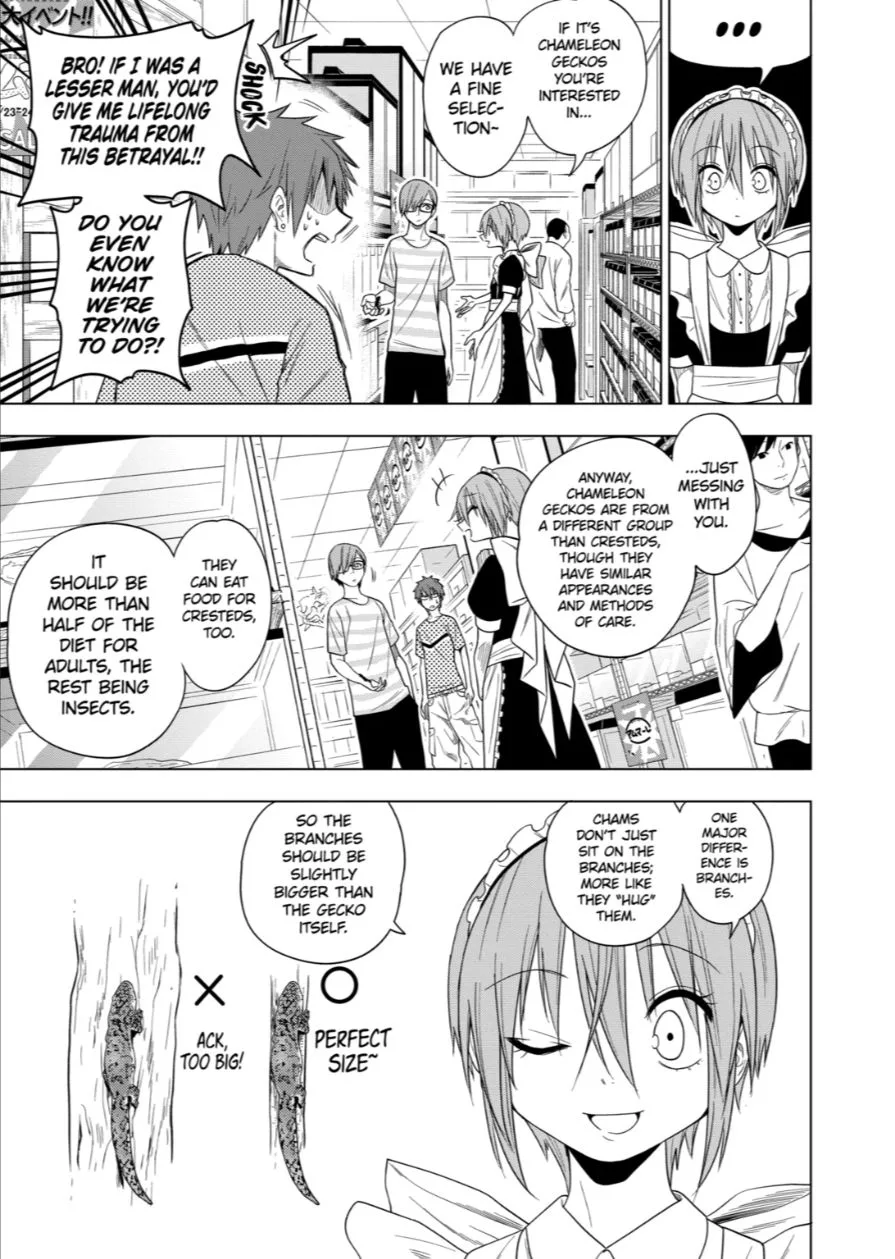 Himitsu no Reptiles Chapter 60 page 9