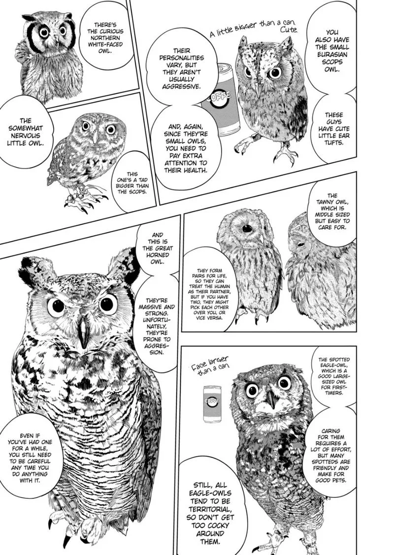 Himitsu no Reptiles Chapter 69 page 8