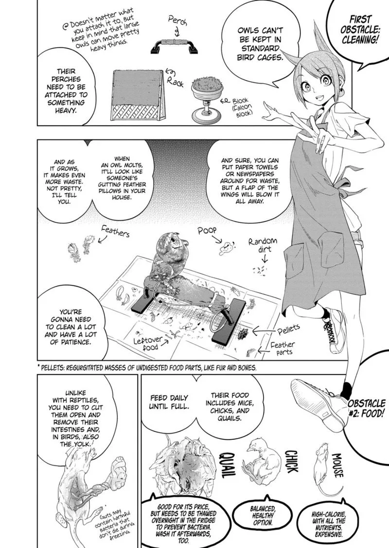 Himitsu no Reptiles Chapter 69 page 5