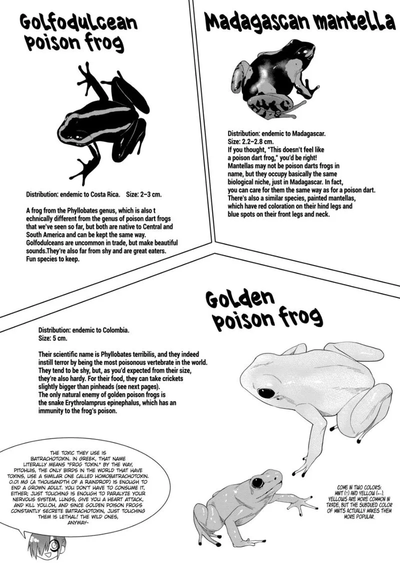 Himitsu no Reptiles Chapter 71 page 8