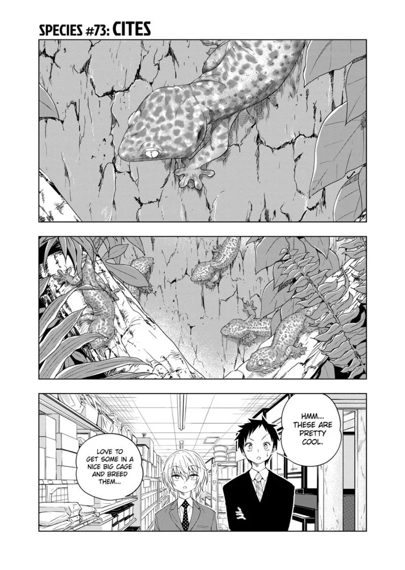 Himitsu no Reptiles Chapter 73 page 1