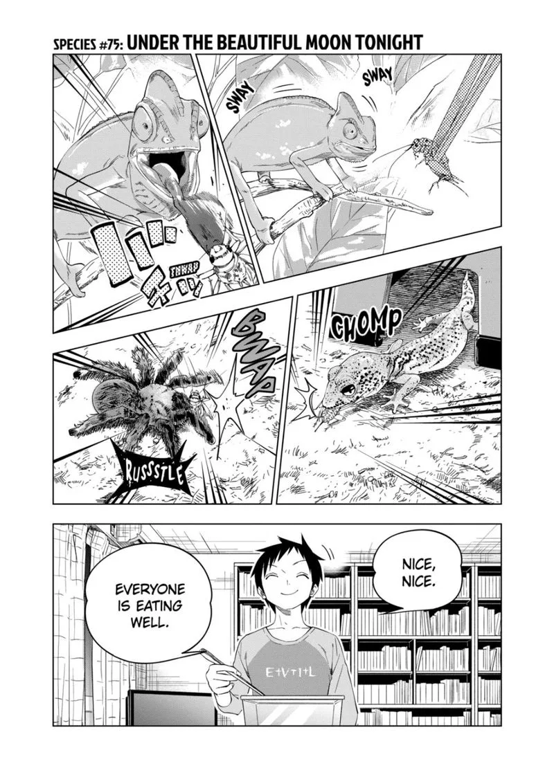 Himitsu no Reptiles Chapter 75 page 1