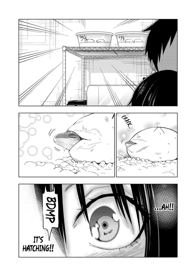 Himitsu no Reptiles Chapter 75 page 11