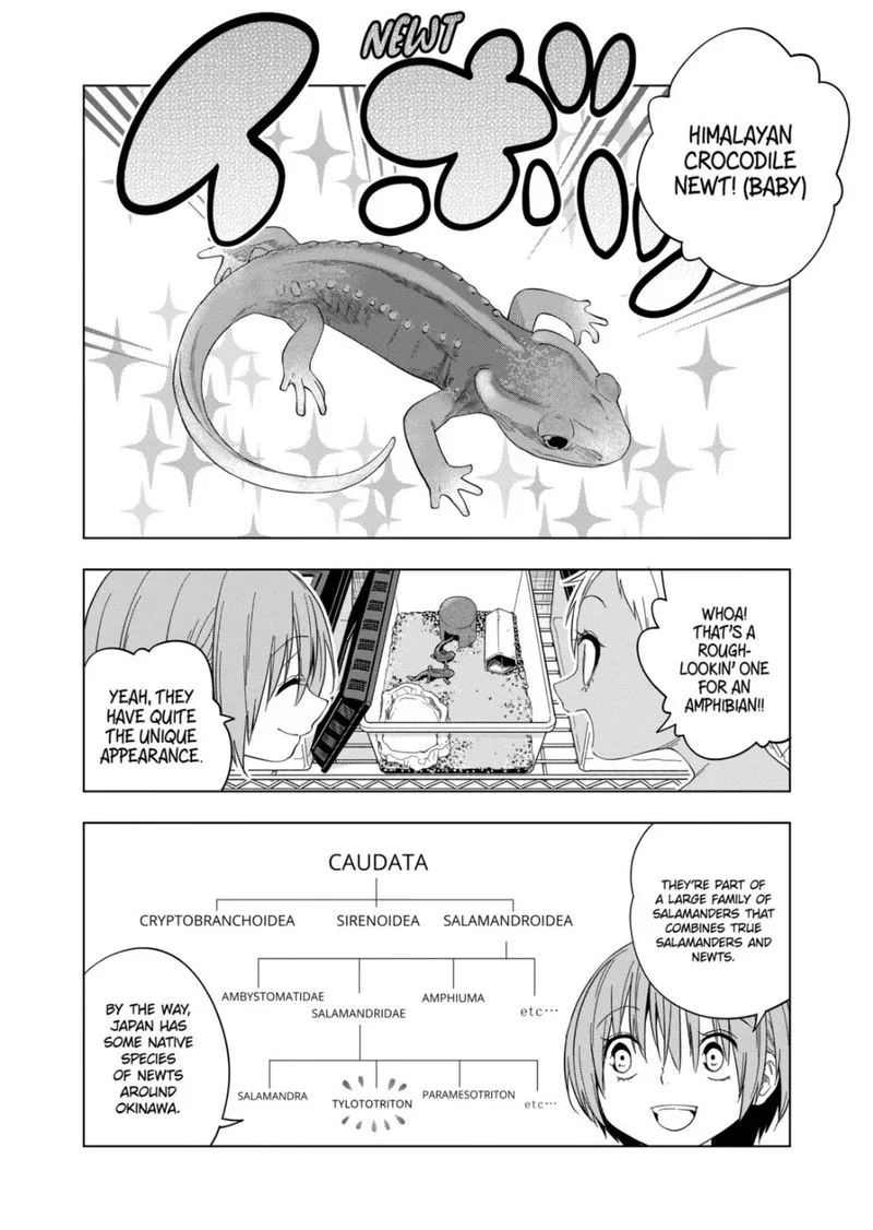 Himitsu no Reptiles Chapter 83 page 4