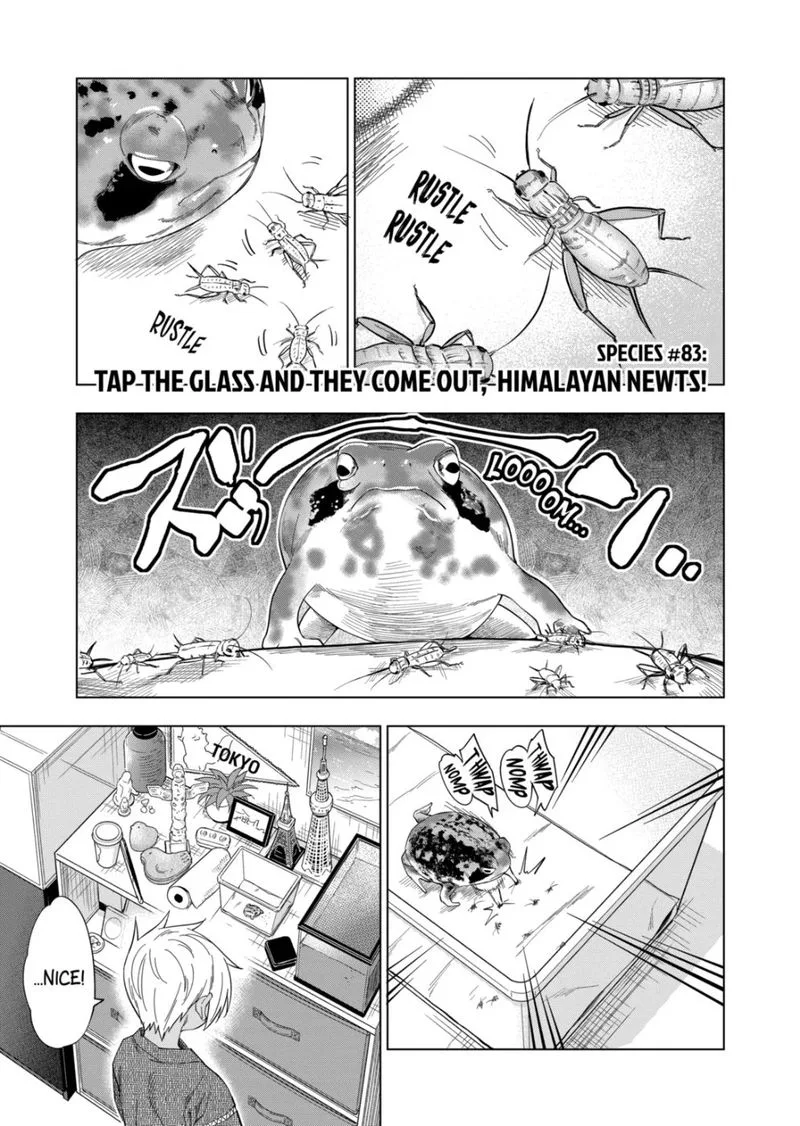 Himitsu no Reptiles Chapter 83 page 1