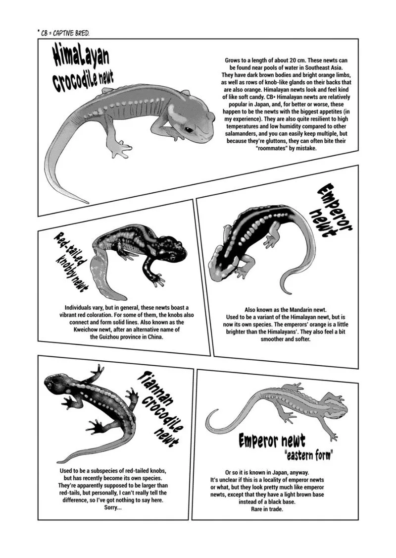 Himitsu no Reptiles Chapter 83 page 5