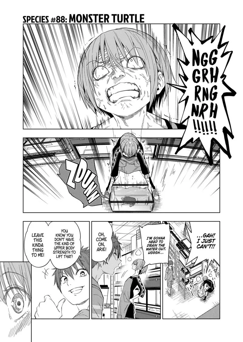 Himitsu no Reptiles Chapter 88 page 1
