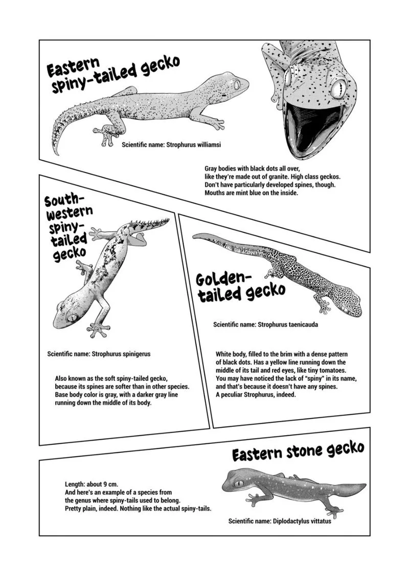 Himitsu no Reptiles Chapter 89 page 14