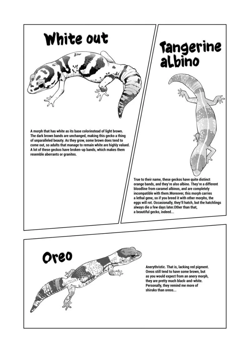 Himitsu no Reptiles Chapter 91 page 12