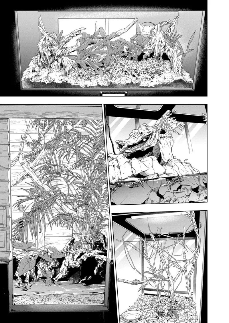 Himitsu no Reptiles Chapter 96 page 14