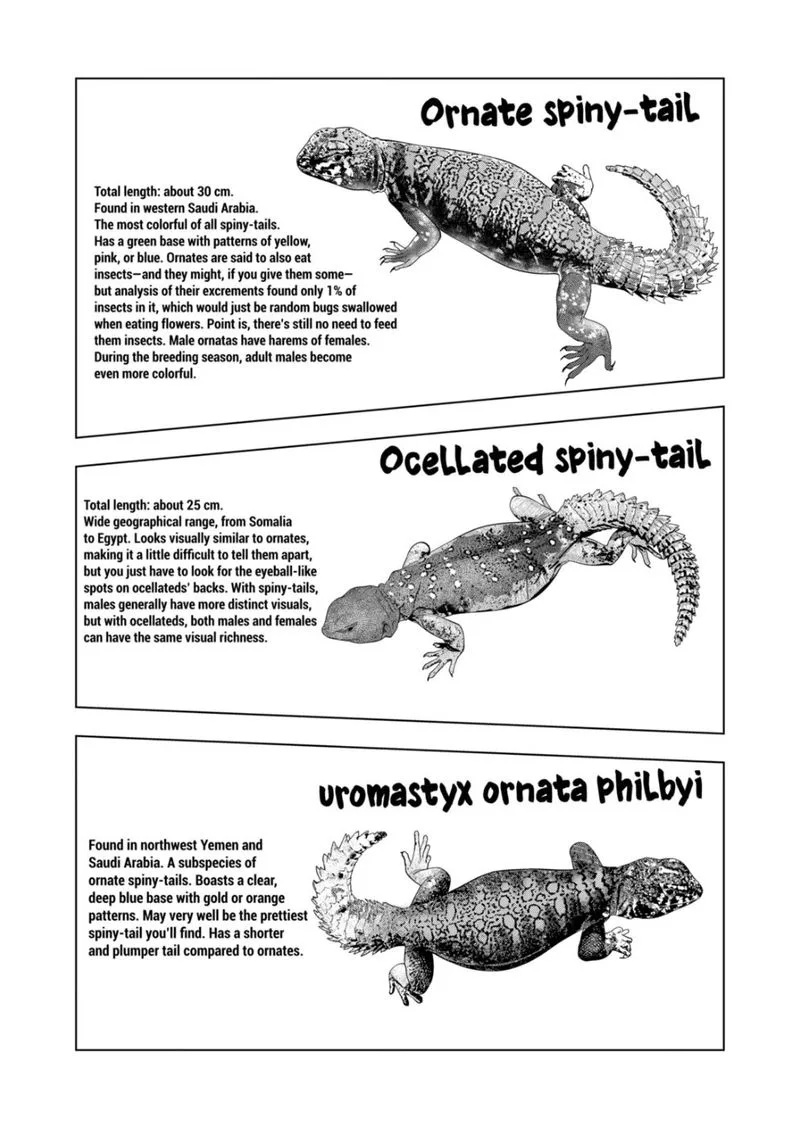 Himitsu no Reptiles Chapter 98 page 12