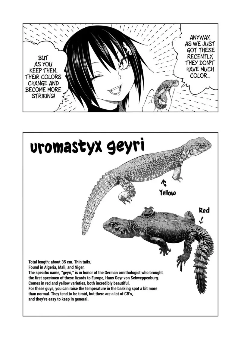 Himitsu no Reptiles Chapter 98 page 11