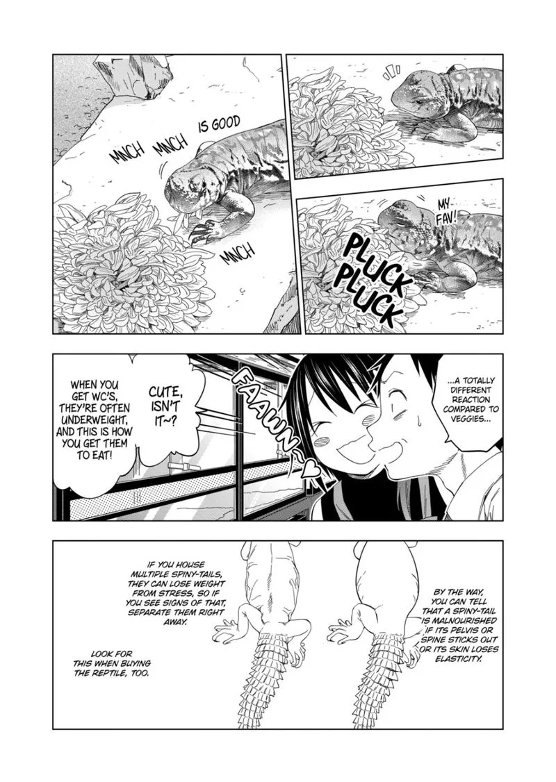 Himitsu no Reptiles Chapter 98 page 20