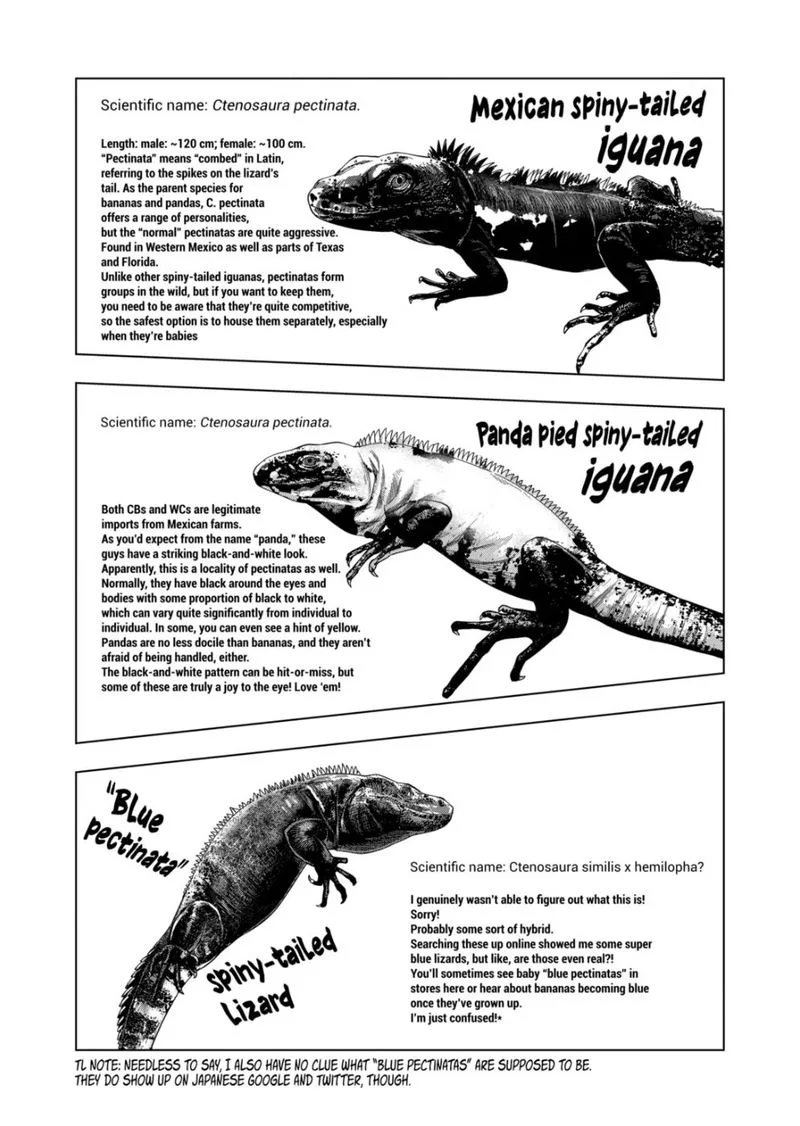 Himitsu no Reptiles Chapter 99 page 8