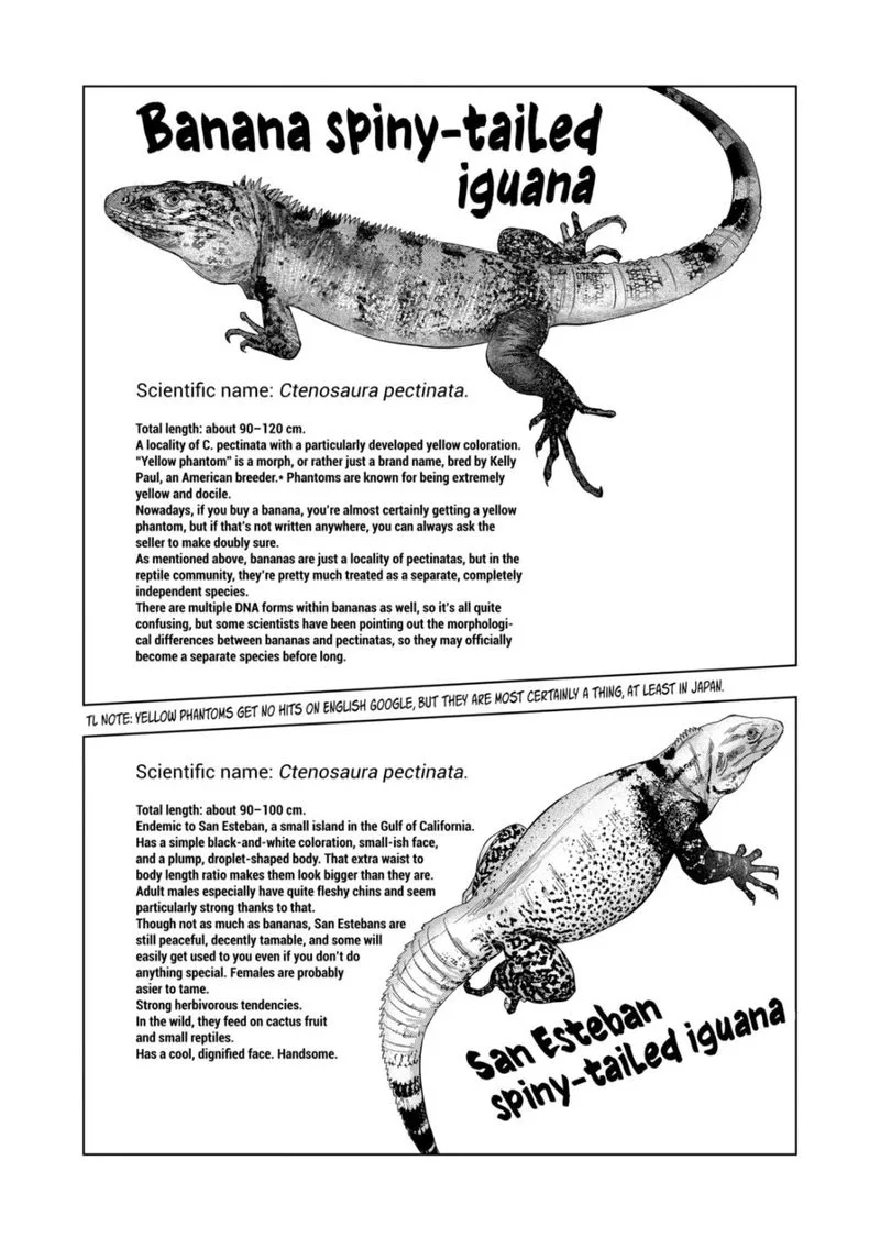 Himitsu no Reptiles Chapter 99 page 7