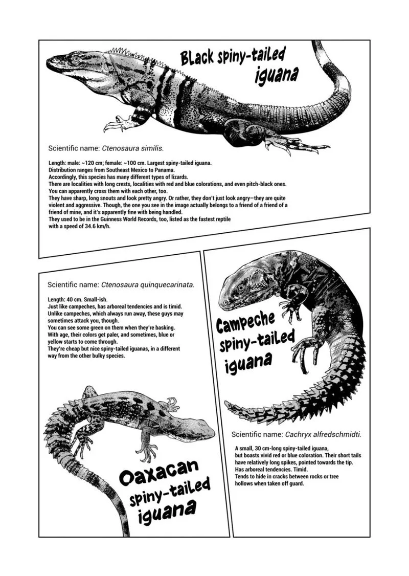 Himitsu no Reptiles Chapter 99 page 9