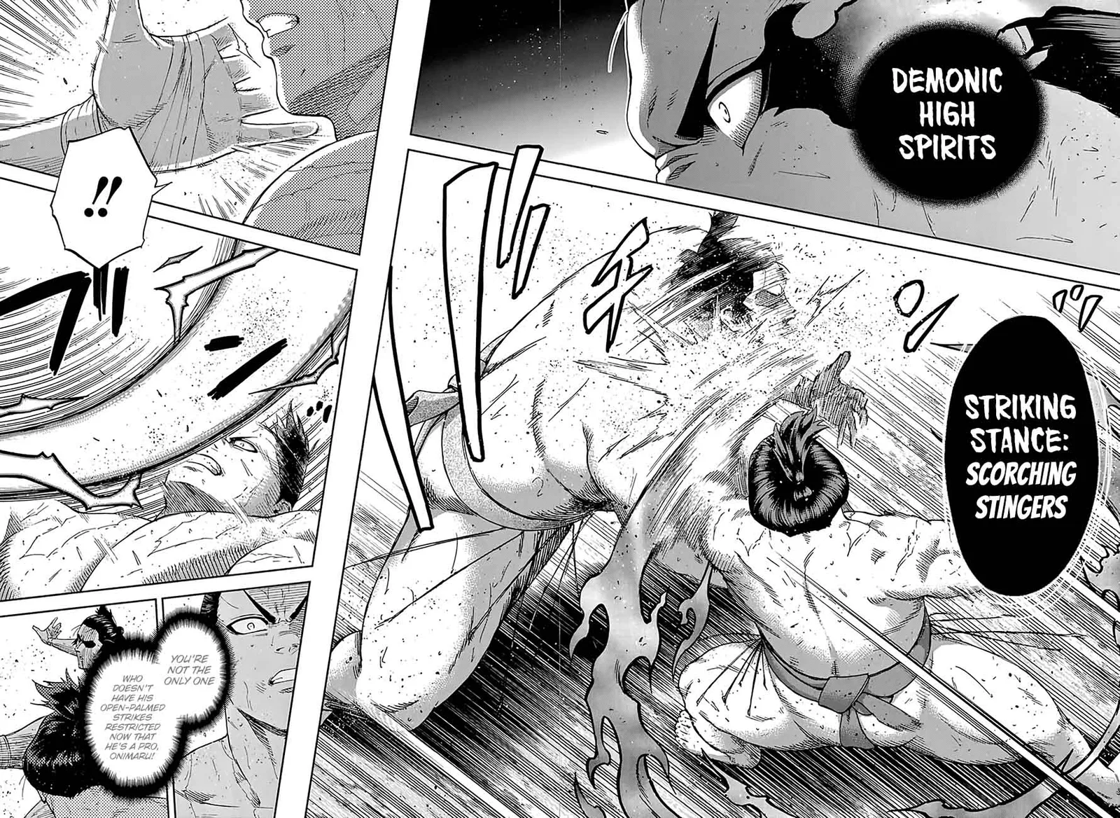 Hinomaru Zumou Chapter 193 page 9