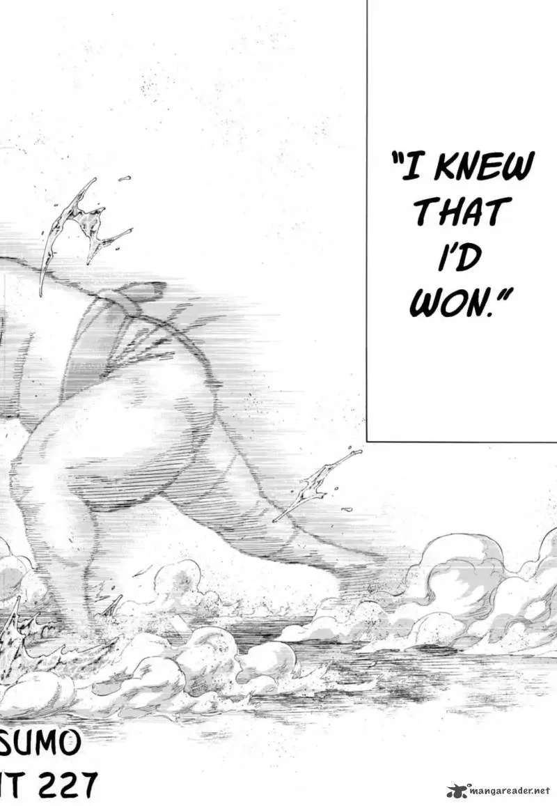 Hinomaru Zumou Chapter 227 page 19