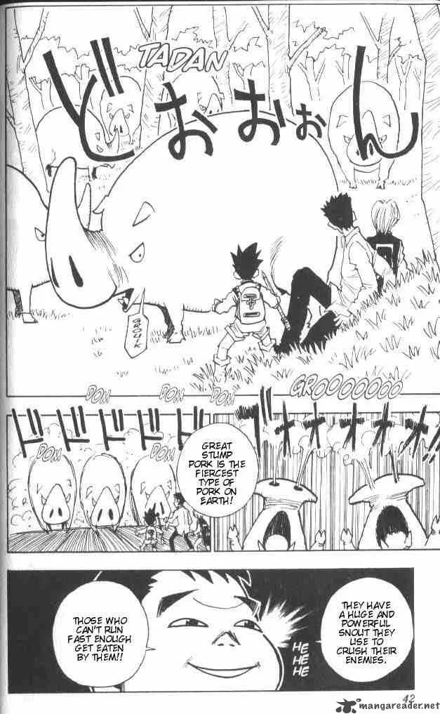 Hunter X Hunter Chapter 10 page 17