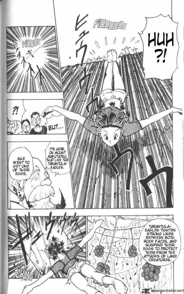 Hunter X Hunter Chapter 12 page 17
