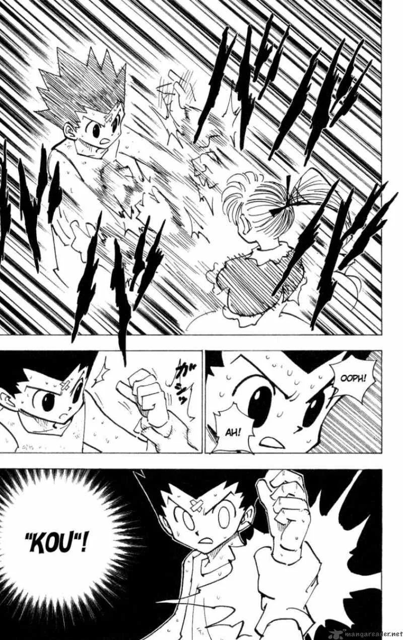 Hunter X Hunter Chapter 171 page 5