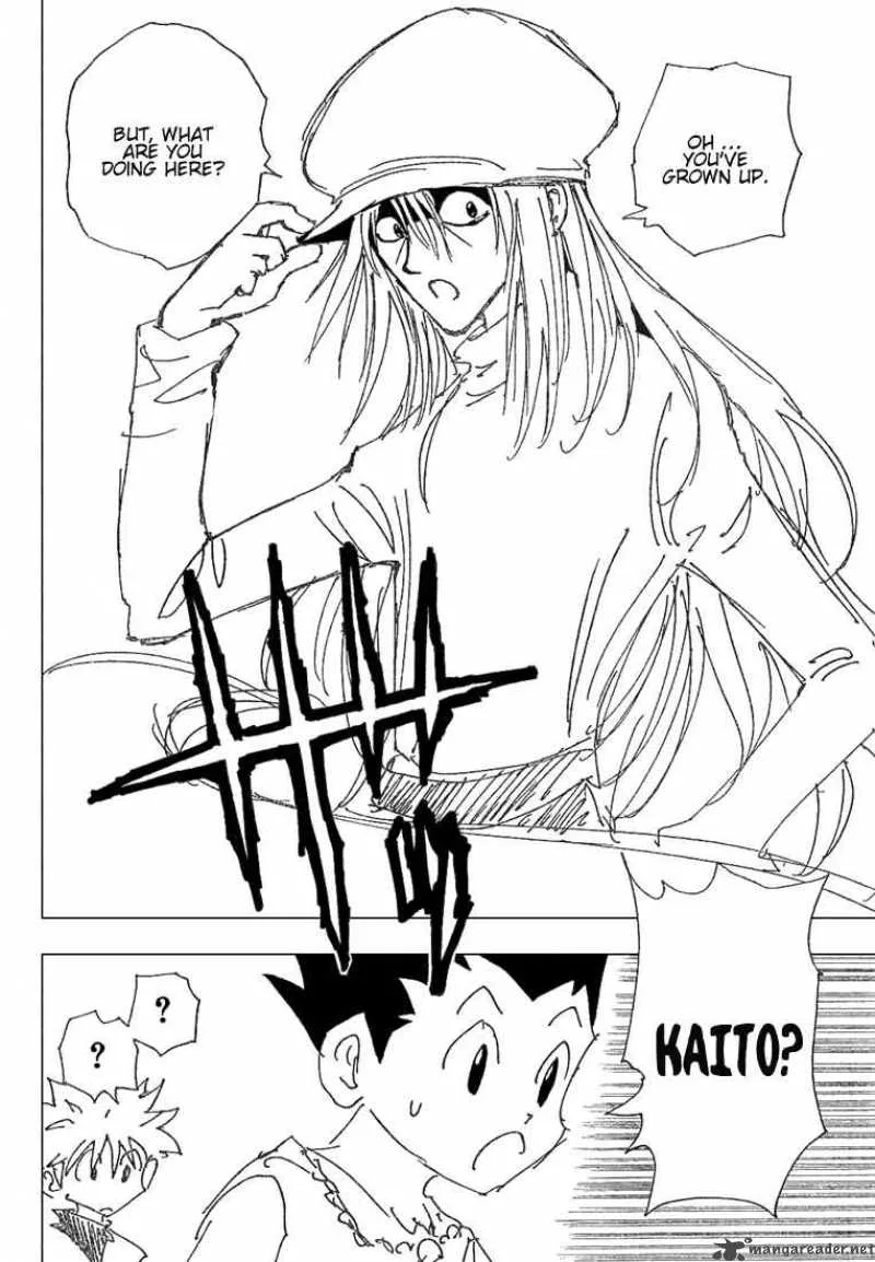 Hunter X Hunter Chapter 185 page 13