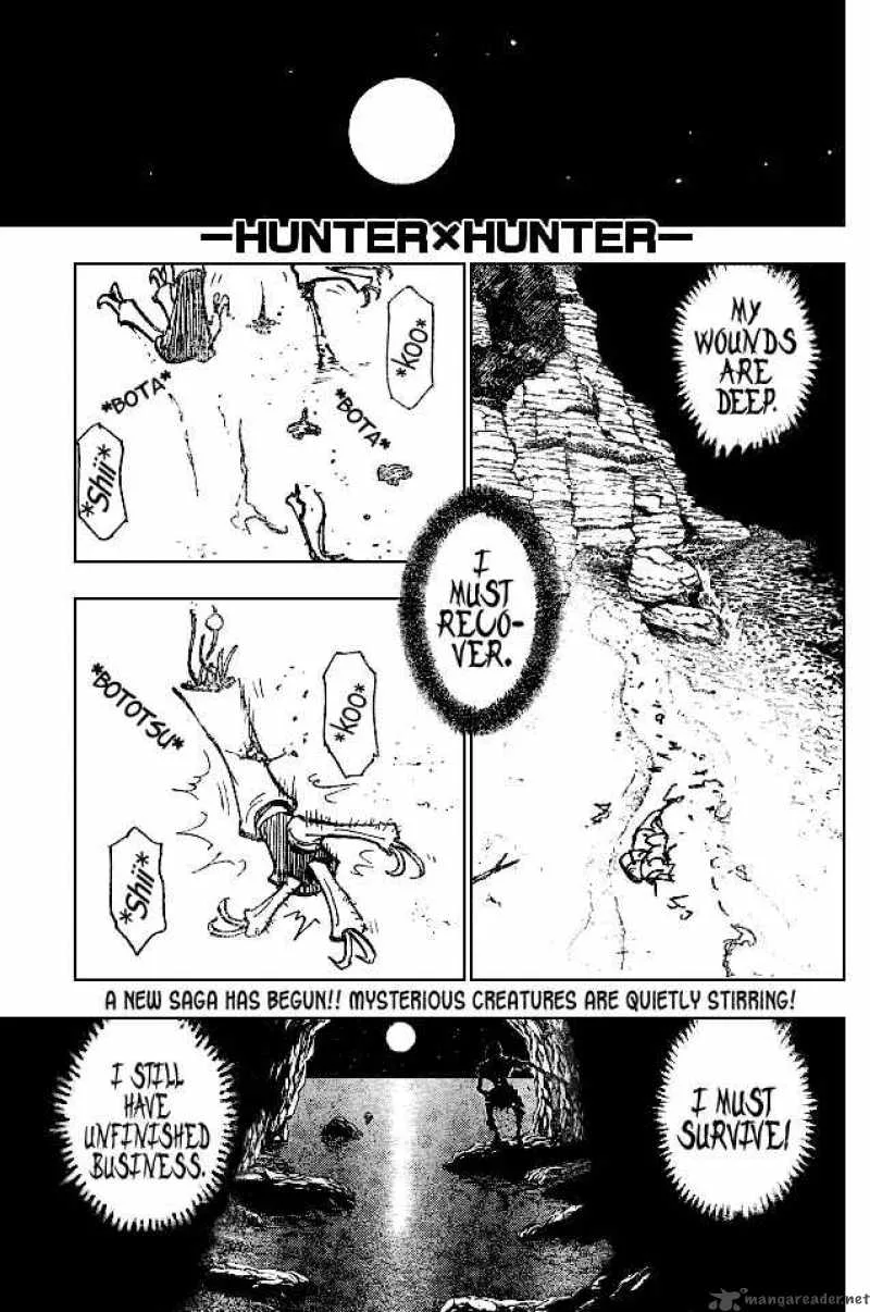 Hunter X Hunter Chapter 186 page 1