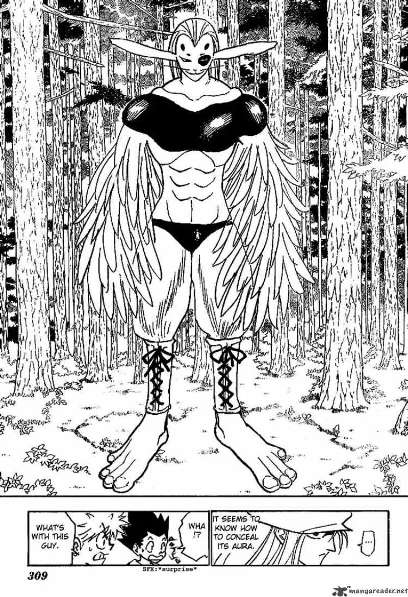 Hunter X Hunter Chapter 191 page 4