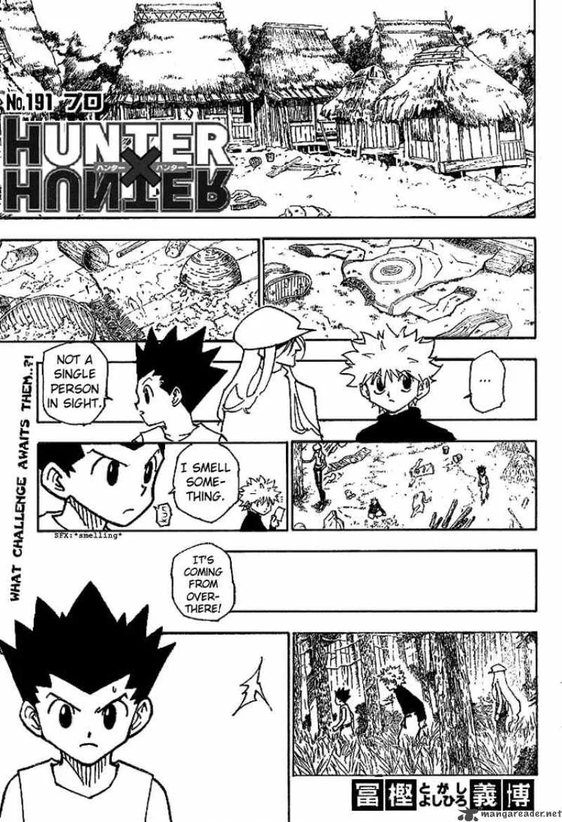 Hunter X Hunter Chapter 191 page 2