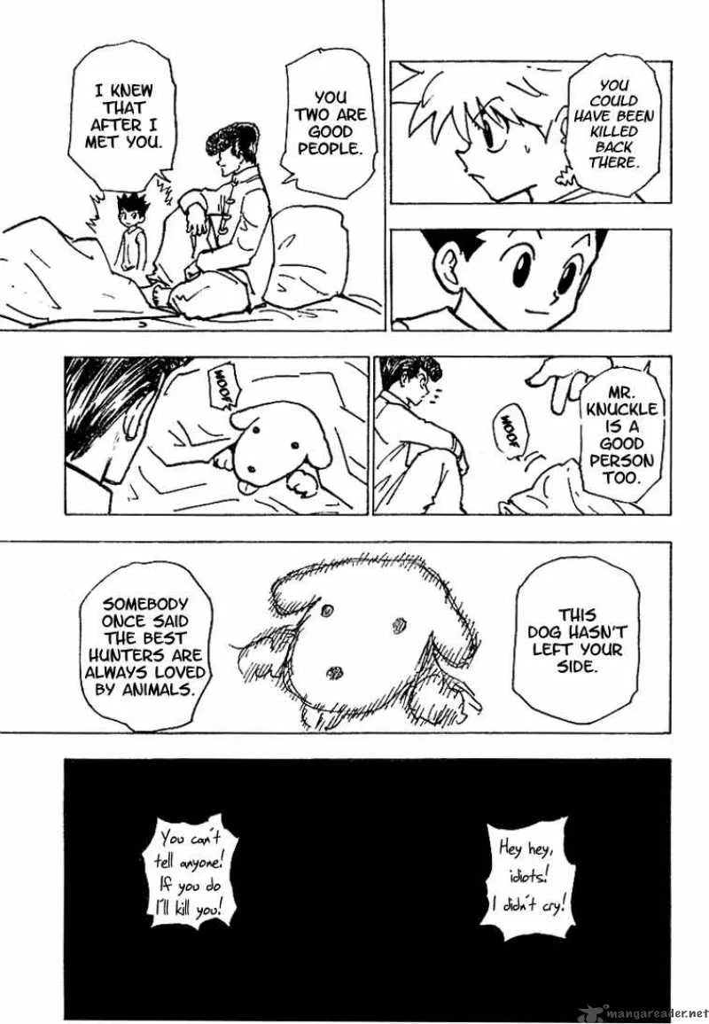 Hunter X Hunter Chapter 203 page 13