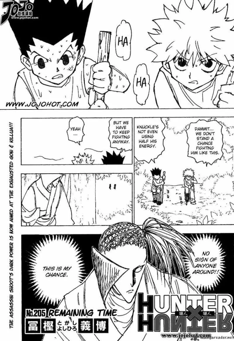 Hunter X Hunter Chapter 205 page 2
