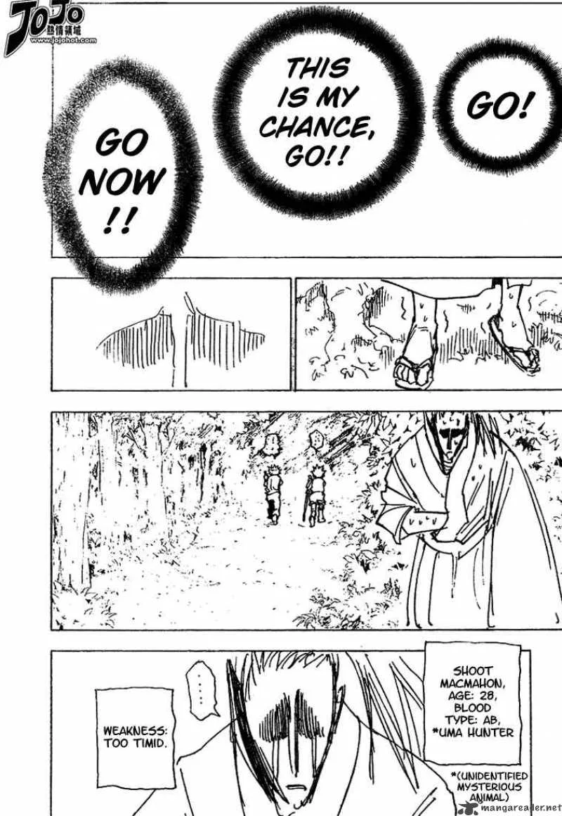 Hunter X Hunter Chapter 205 page 4