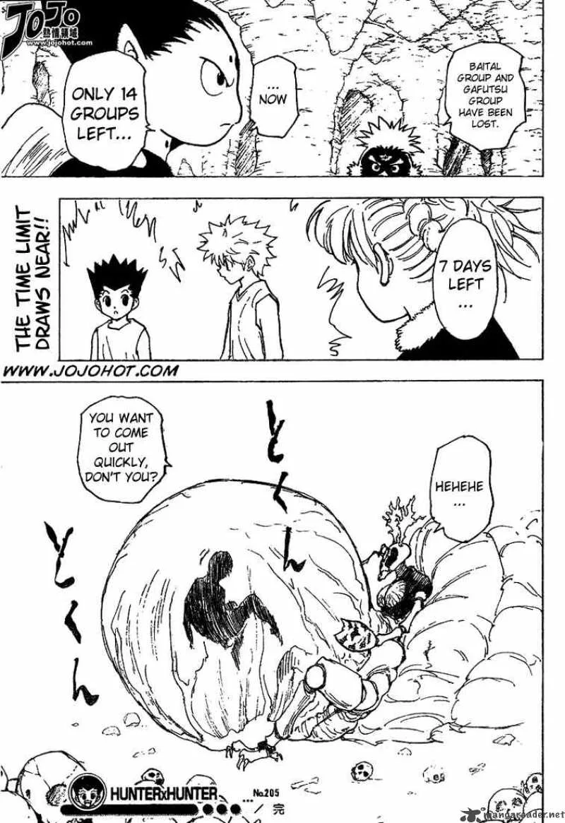 Hunter X Hunter Chapter 205 page 16
