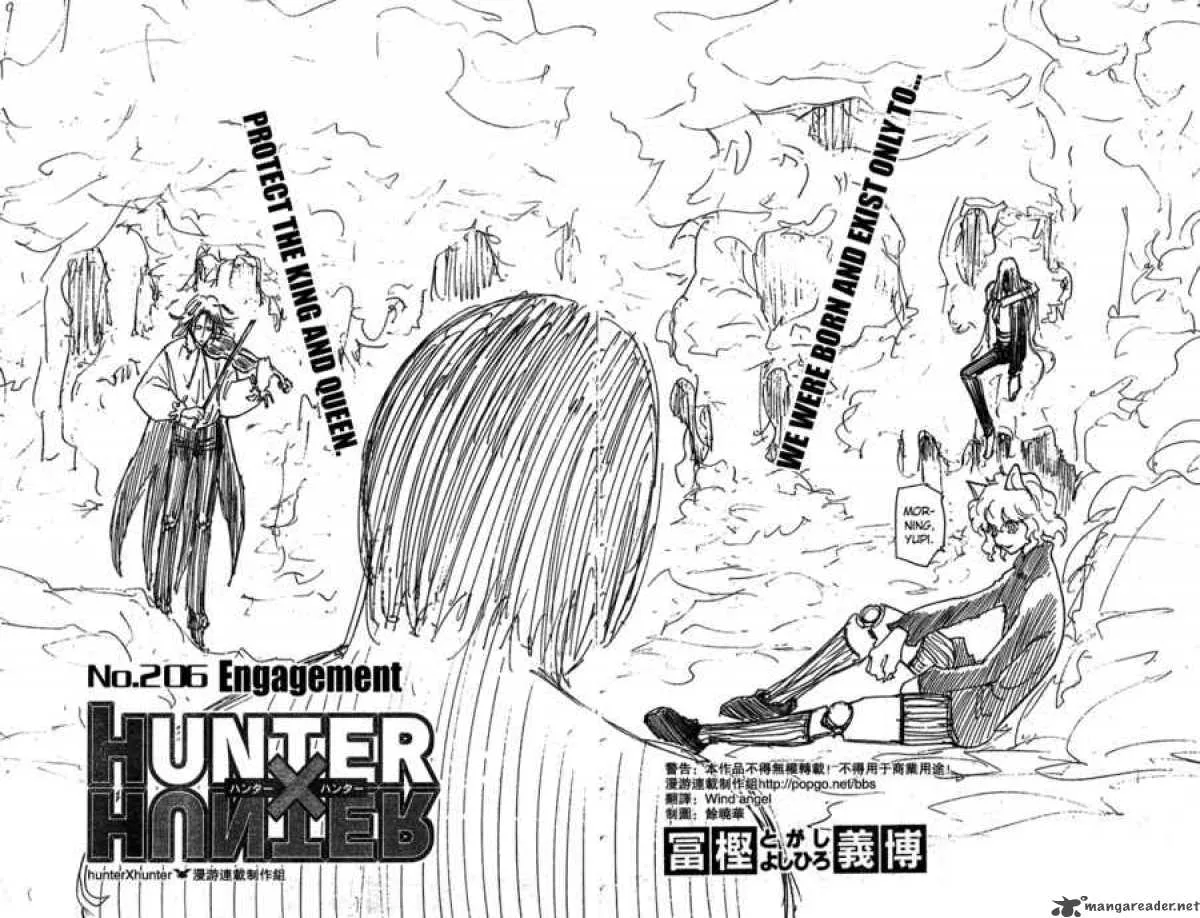Hunter X Hunter Chapter 206 page 5