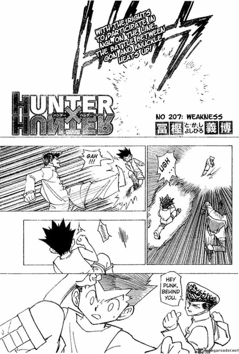 Hunter X Hunter Chapter 207 page 2