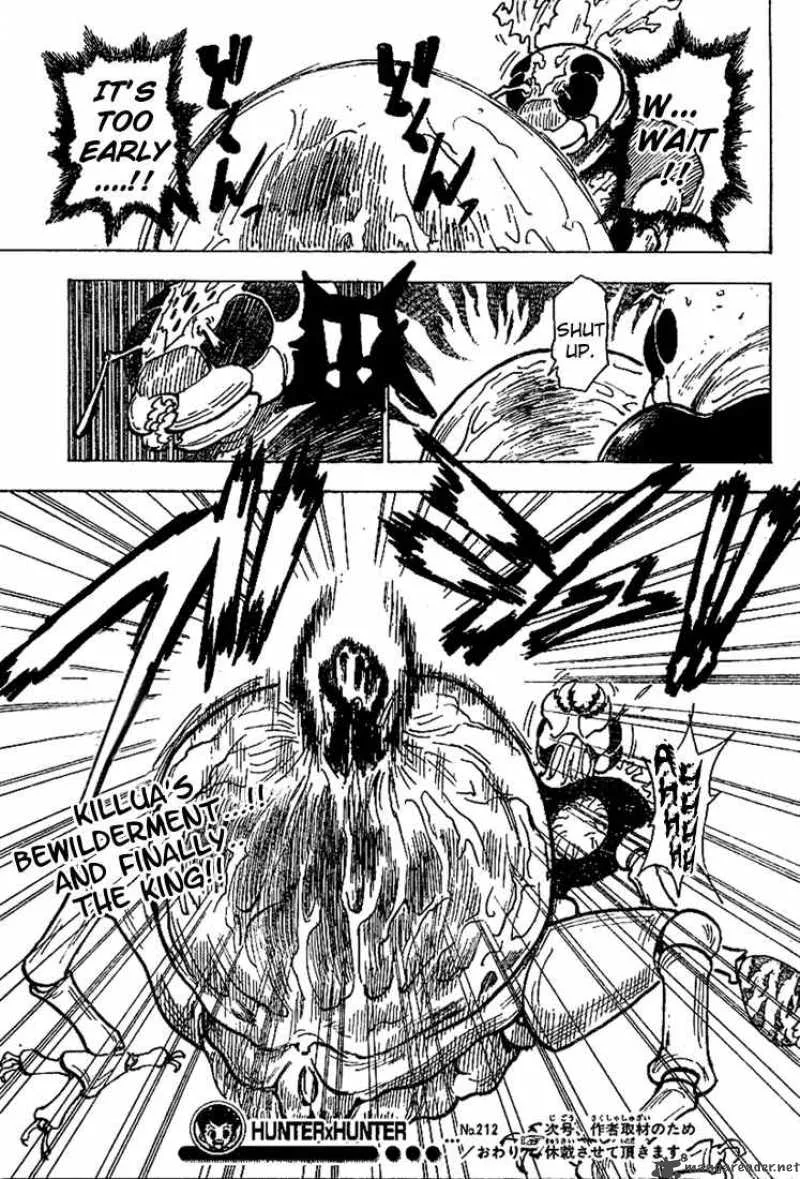 Hunter X Hunter Chapter 212 page 17