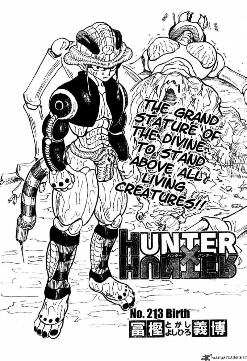 Hunter X Hunter Chapter 213 page 3