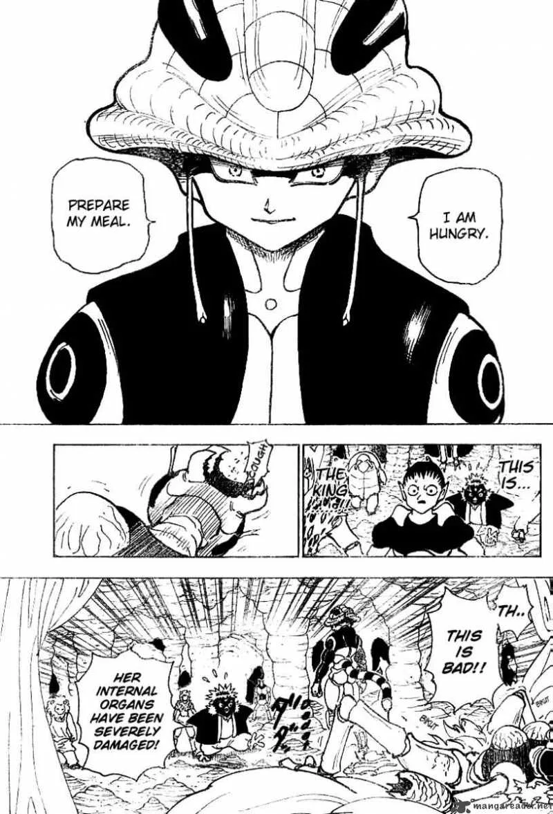 Hunter X Hunter Chapter 213 page 4