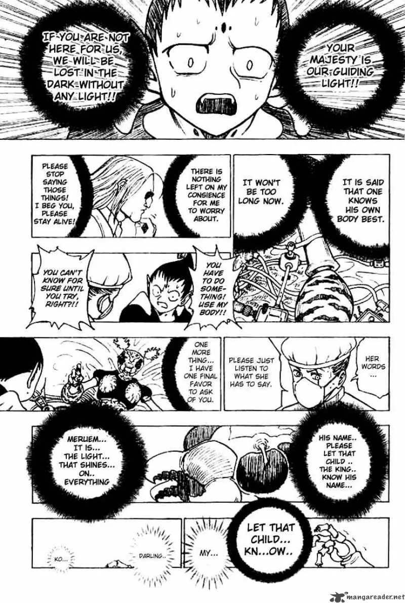 Hunter X Hunter Chapter 215 page 10