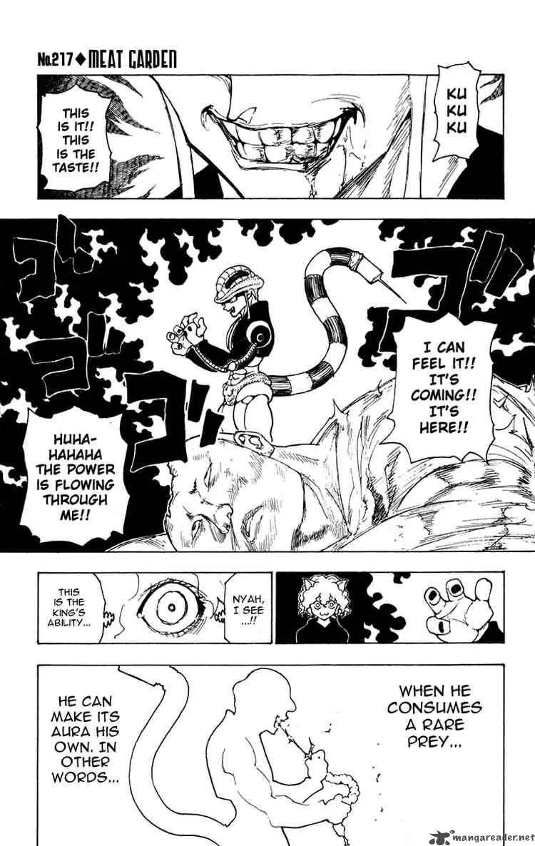 Hunter X Hunter Chapter 217 page 1