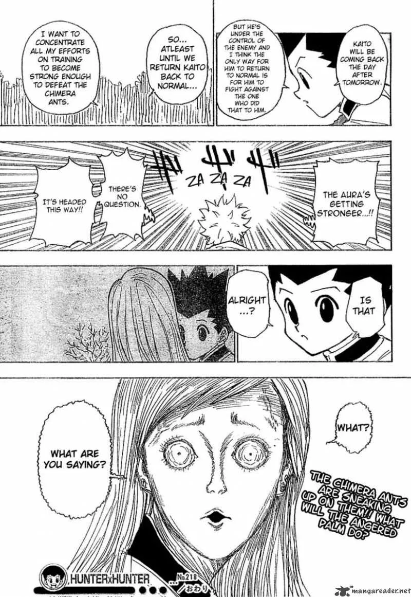 Hunter X Hunter Chapter 218 page 16