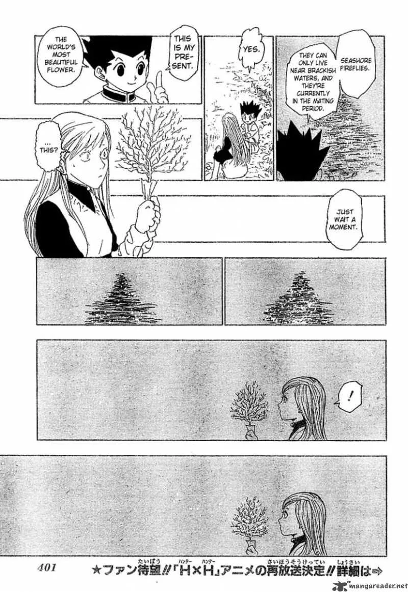 Hunter X Hunter Chapter 218 page 14